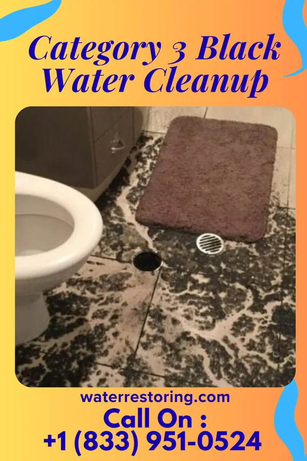 Category 3 Black Water Cleanup in Petersburg, TX
