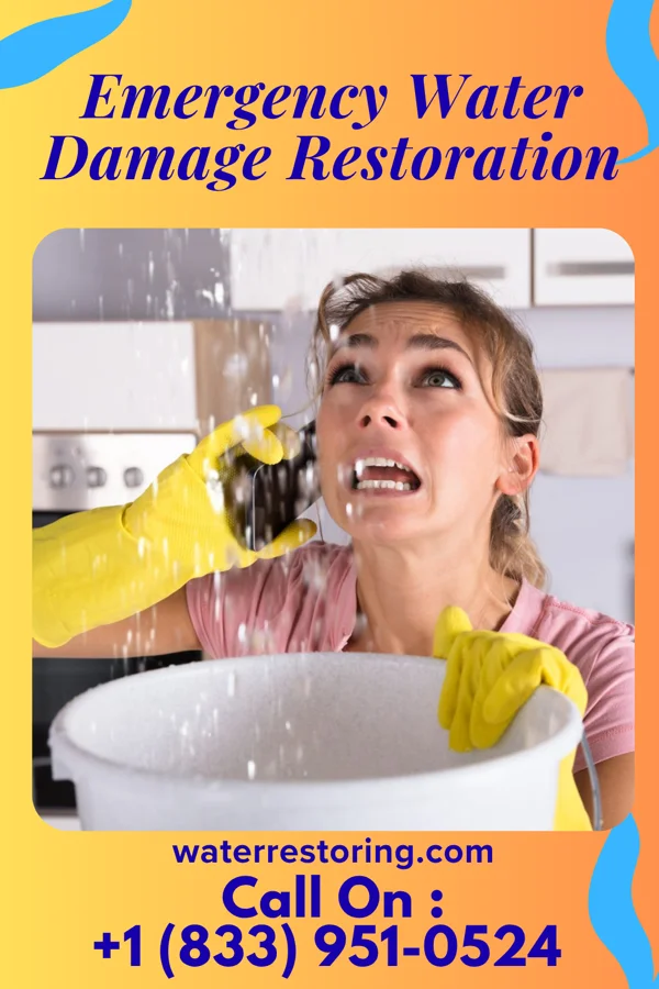 Emergency Water Damage Restoration in Petersburg, TX