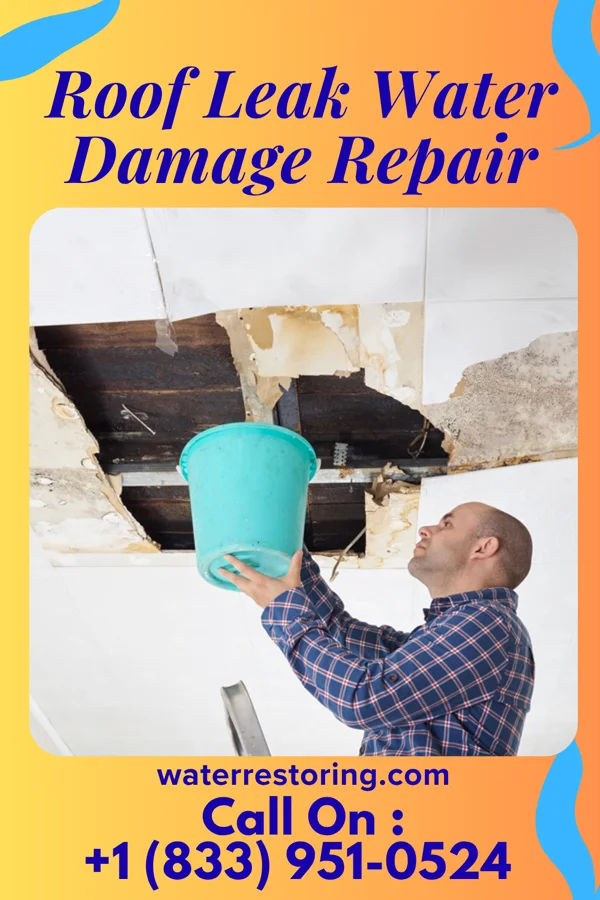 Roof Leak Water Damage Repair in Petersburg, TX